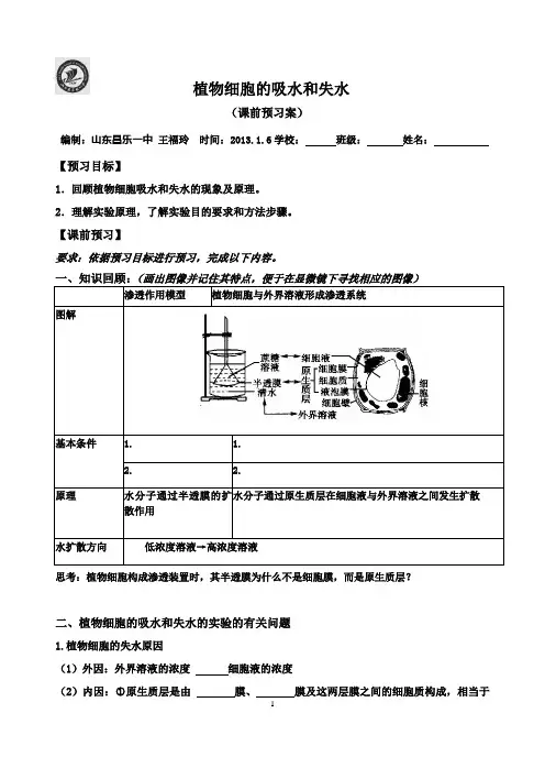 植物细胞吸水和失水实验学案
