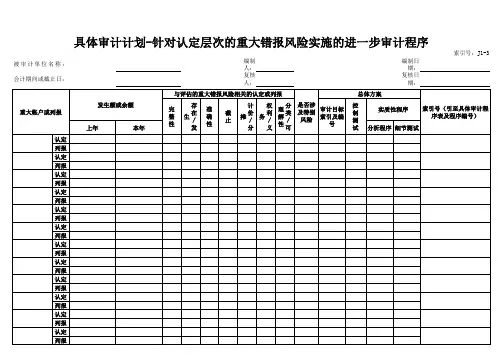 审计工作底稿-8  风险评估底稿