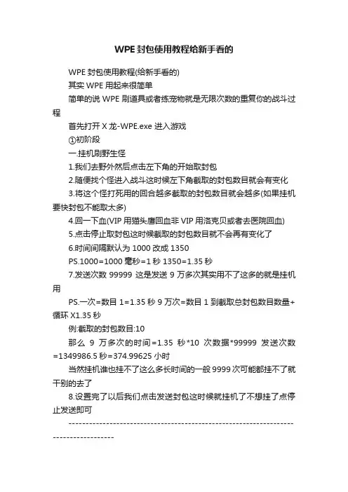 WPE封包使用教程给新手看的