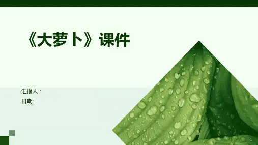《大萝卜》课件