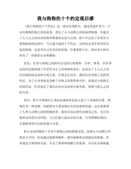 我与狗狗的十个约定观后感