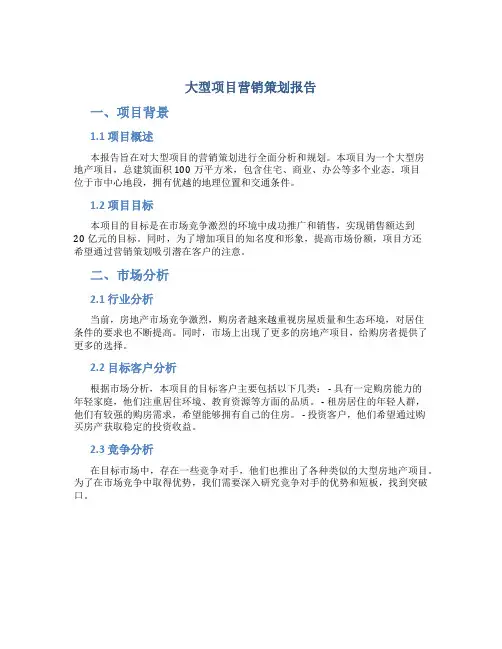 大型项目营销策划报告