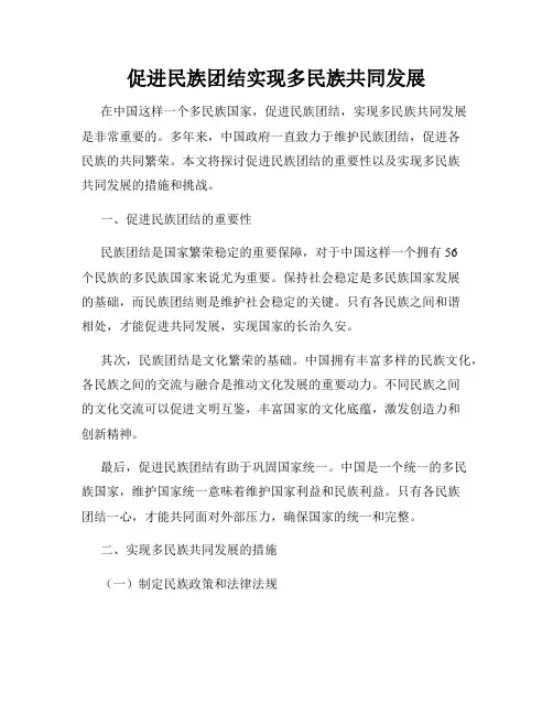 促进民族团结实现多民族共同发展