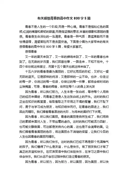 有关感悟青春的高中作文800字5篇