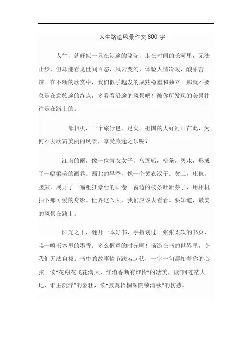 人生路途风景作文800字