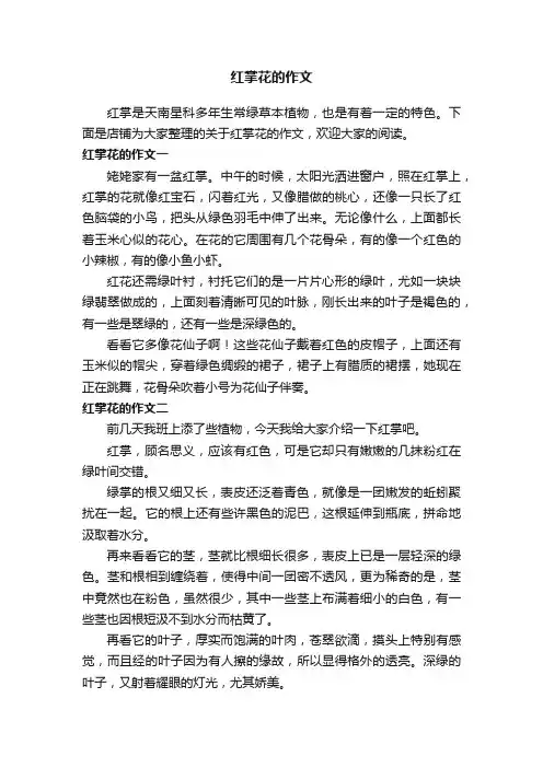 红掌花的作文