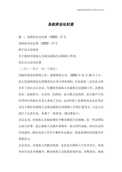 县政府会议纪要