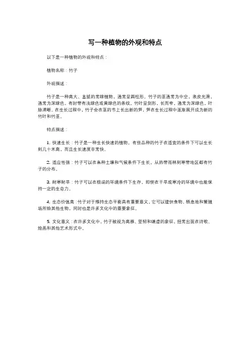 写一种植物的外观和特点