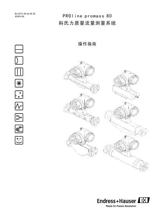 E+H质量流量计中文说明书