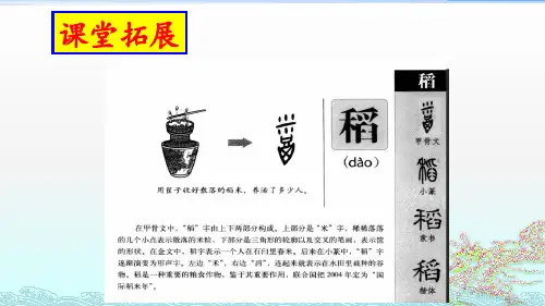 4《喜看稻菽千重浪》—记首届国家最高科技奖获得者袁隆平统编版高中语文必修上册