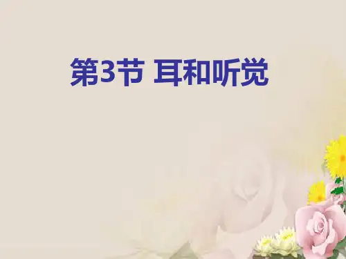 《耳和听觉》PPT
