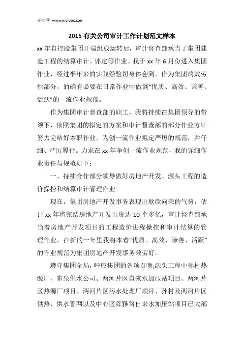 2015有关公司审计工作计划范文样本