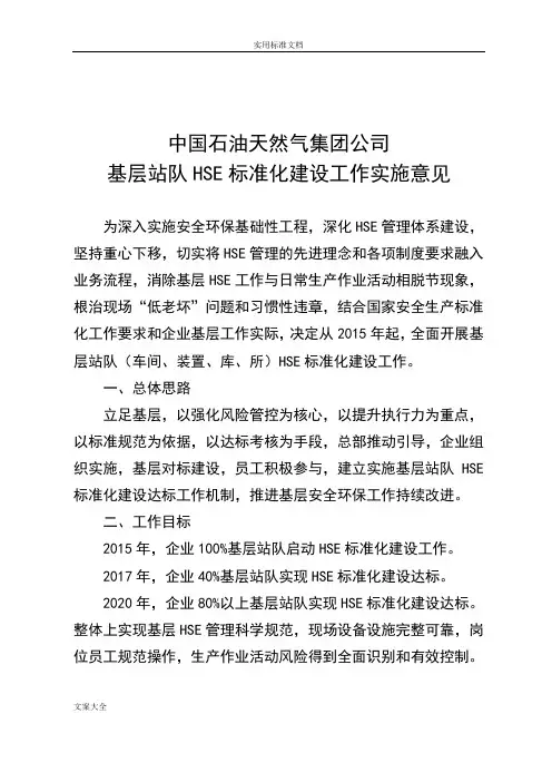 中国石油天然气集团公司管理系统基层站队HSE实用标准化建设工作实施意见