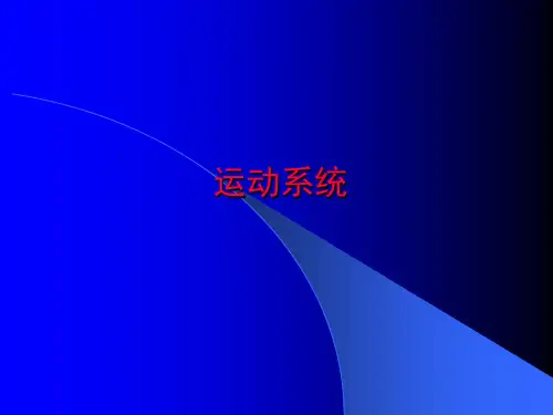 人体解剖生理学-运动系统