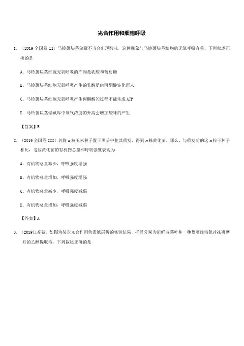 2020年高考生物易错知识强化练习：光合作用和细胞呼吸(带答案)