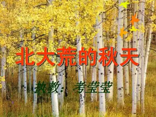 北大荒的秋天 PPT课件