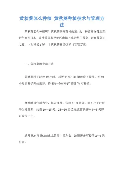 黄秋葵怎么种植 黄秋葵种植技术与管理方法