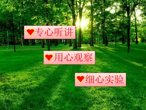 浙教版科学光合作用优质公开课_PPT