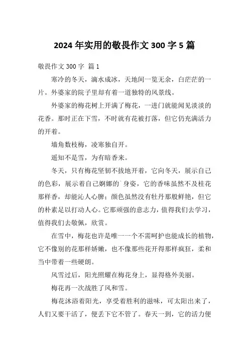 2024年实用的敬畏作文300字5篇