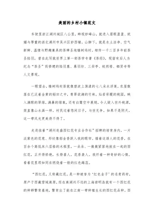 美丽的乡村小镇范文（三篇）