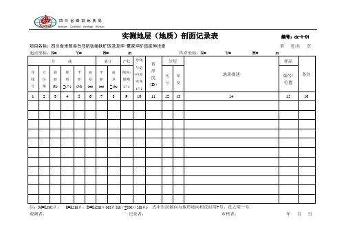 2020年固体矿产勘查(地质)原始记录表格参照模板可编辑