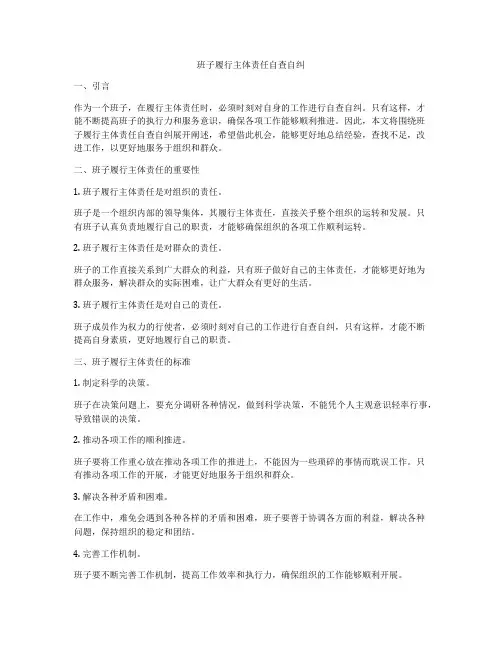 班子履行主体责任自查自纠