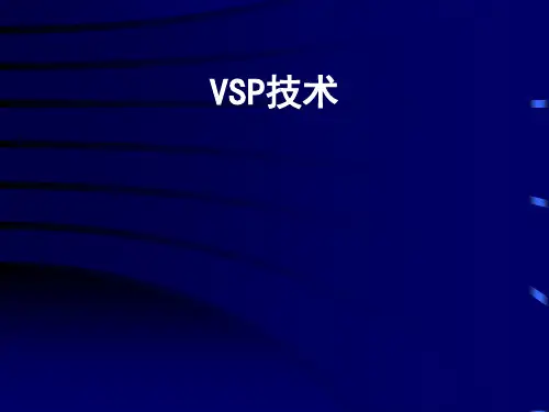 VSP技术的发展与应用-闫总