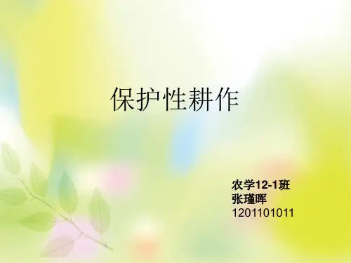 保护性耕作