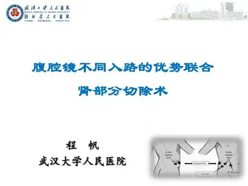 腹腔镜肾部分切除的入路