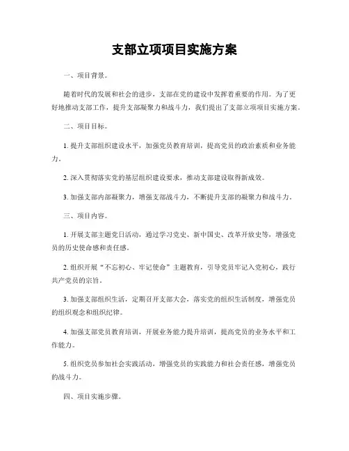 支部立项项目实施方案