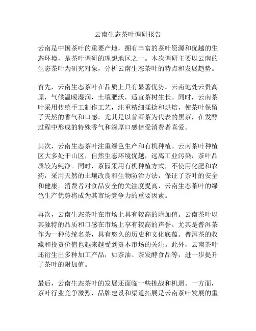 云南生态茶叶调研报告