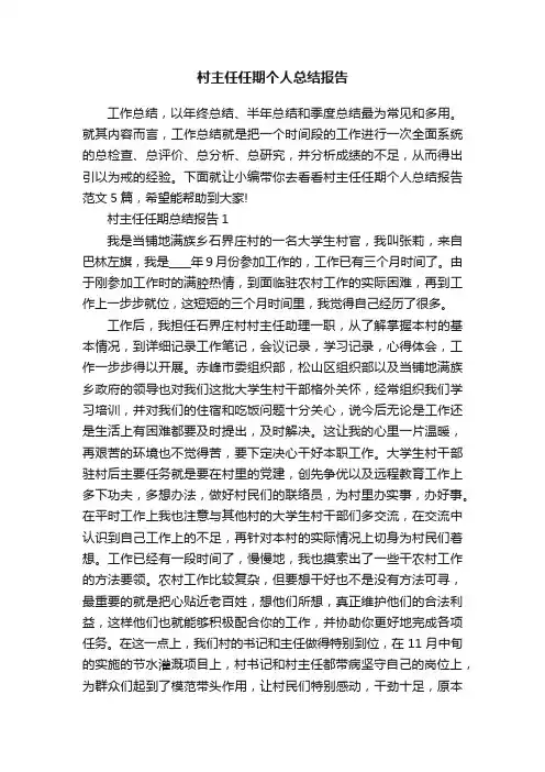 村主任任期个人总结报告