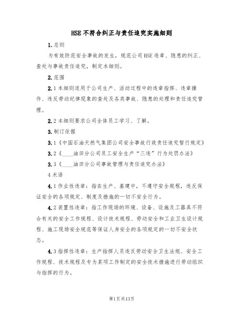 HSE不符合纠正与责任追究实施细则（5篇）