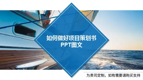 如何做好项目策划书PPT图文