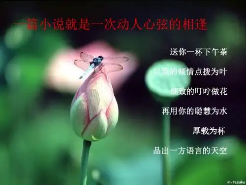 中考复习小说阅读ppt