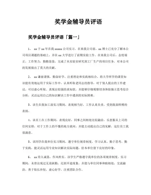 奖学金辅导员评语