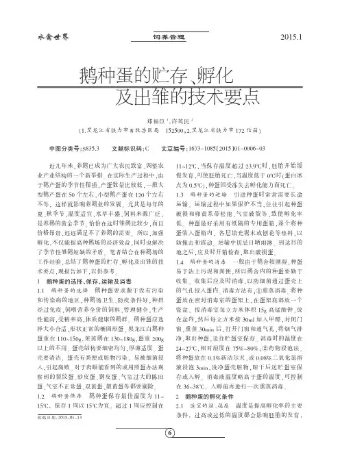 鹅种蛋的贮存、孵化及出雏的技术要点