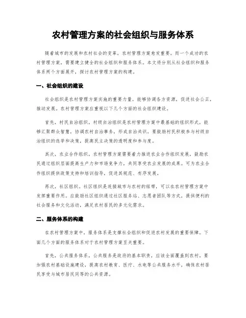 农村管理方案的社会组织与服务体系