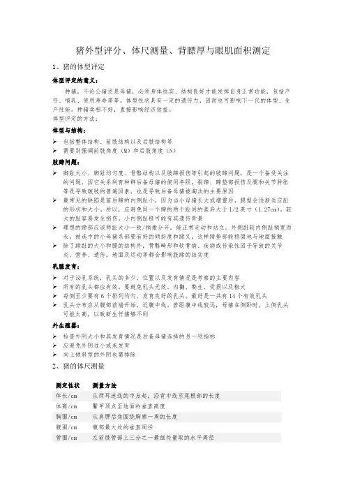 猪生产学实验---猪外型评分、体尺测量、背膘厚与眼肌面积测定