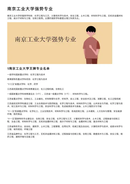 南京工业大学强势专业