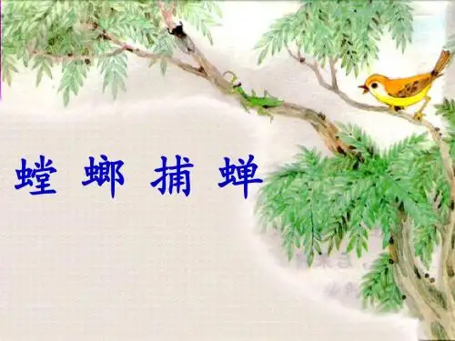 苏教版小学语文六年级下册《螳螂捕蝉》PPT课件