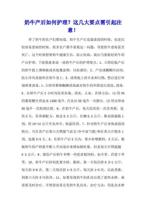 奶牛产后如何护理？这几大要点需引起注意!