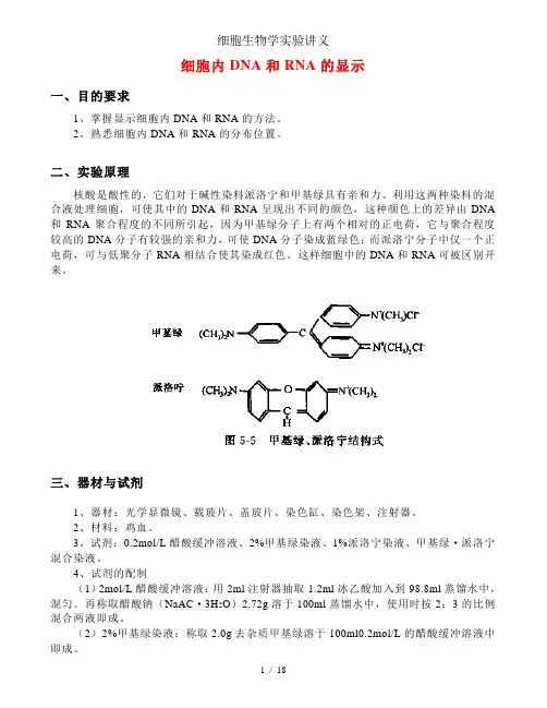 细胞生物学实验讲义