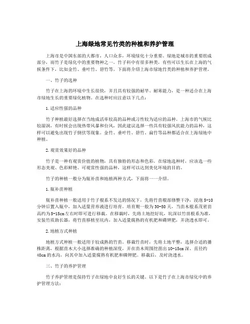 上海绿地常见竹类的种植和养护管理