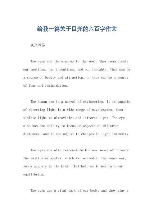 给我一篇关于目光的六百字作文