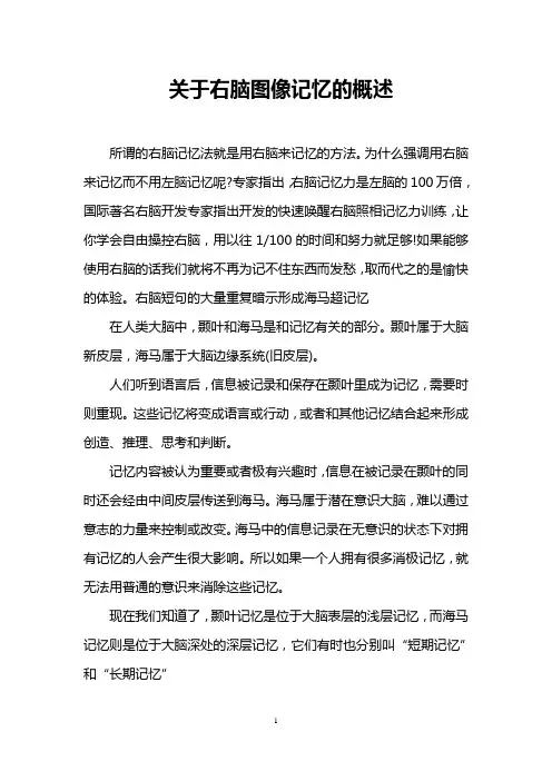 关于右脑图像记忆的概述