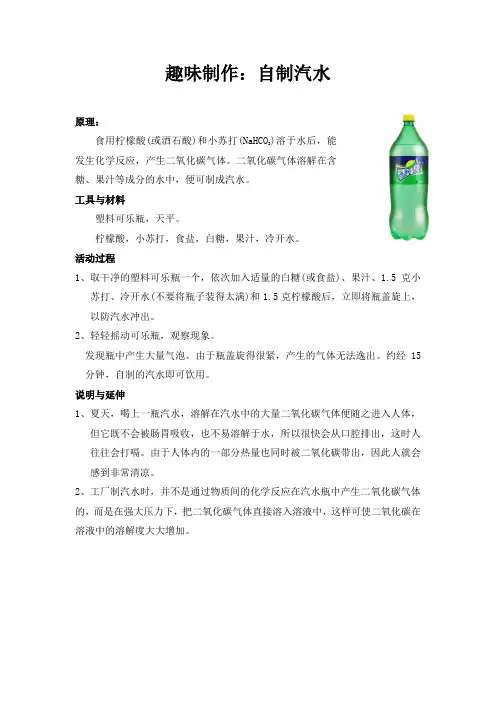 化学知识点之趣味制作：自制汽水