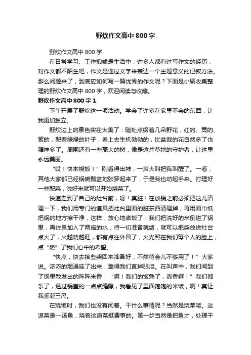 野炊作文高中800字