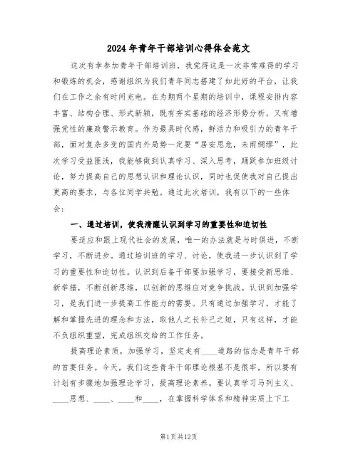 2024年青年干部培训心得体会范文(四篇)