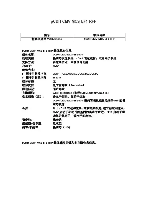 pCDH-CMV-MCS-EF1-RFP使用说明